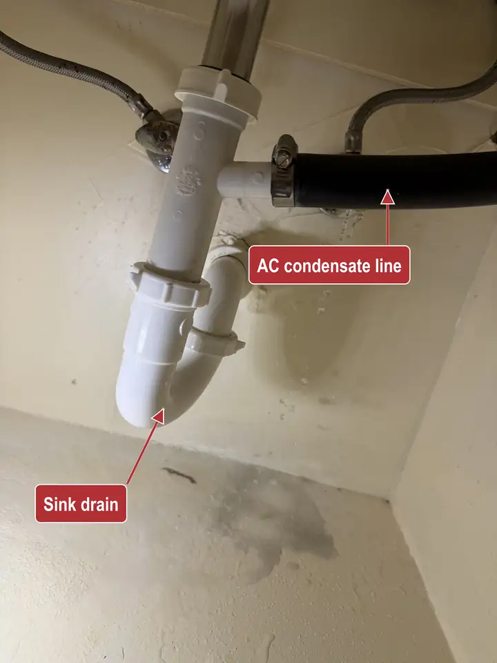 Sink drain under a cabinet with a black AC condensate line clamped into the tailpiece above the P-trap and water on the cabinet floor