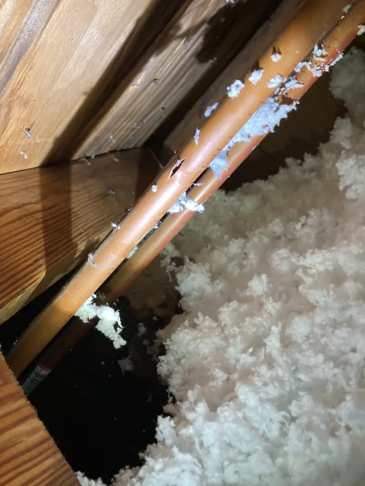 Copper water line with a split in it, above blown insulation beside the wood framing of an attic