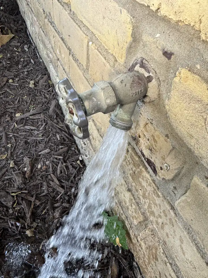 Old frost free outside spigot on a brick wall with water pouring from the outlet onto mulch, Allen