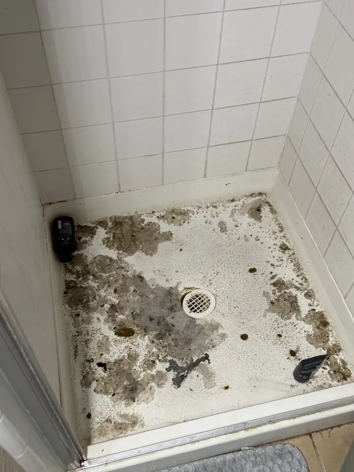 Shower pan covered with sewage residue around the drain after a main sewer line backup