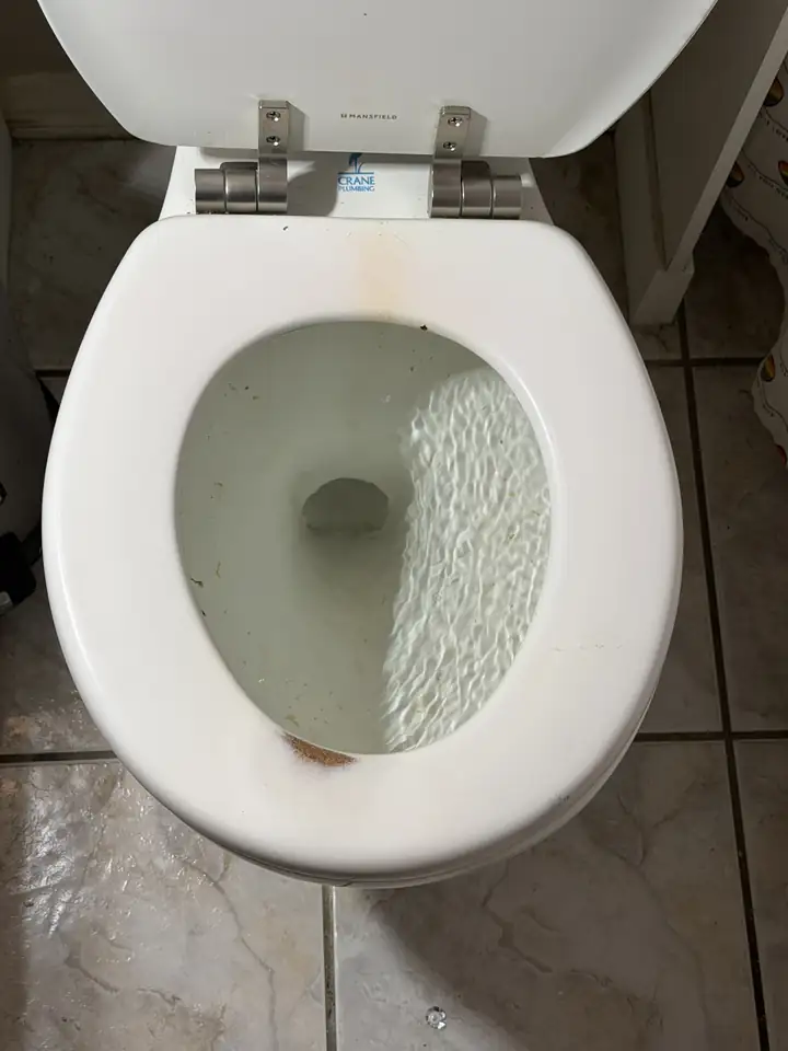 White toilet with the lid up and water standing in the bowl before the main line was cleared, tile floor, Allen