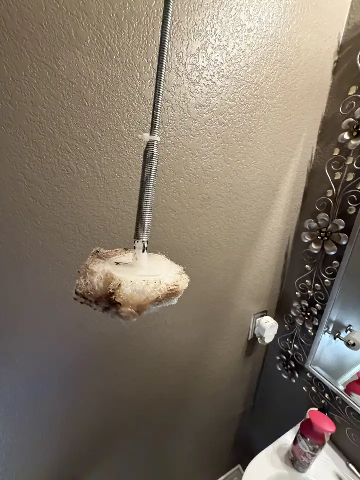 Sponge head of a toilet cleaning wand hanging on a retrieval tool after it was pulled out of a toilet drain, Frisco