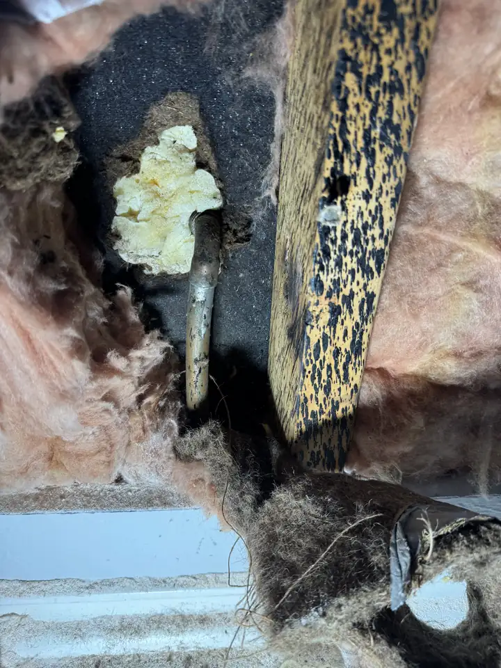 Opened wall behind an outside spigot: a copper pipe through the sheathing with foam around it, insulation and a stud, Allen