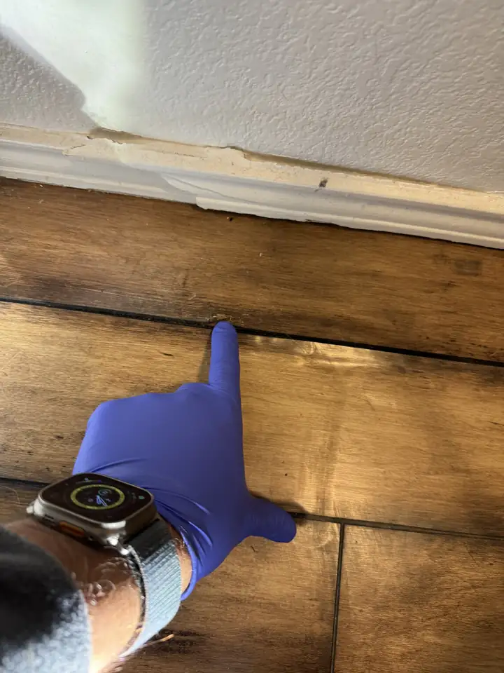 Gloved hand pointing at a swollen wood floor and baseboard damaged by a slow leak, McKinney