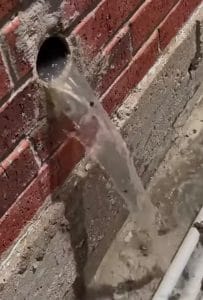 Outdoor cleanout overflow with dirty water – real plumbing backup case in Frisco TX