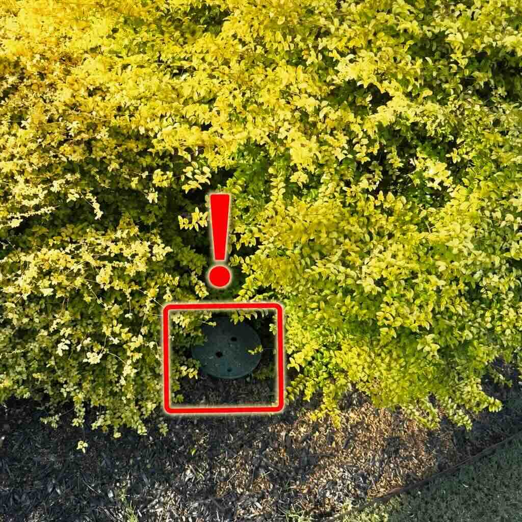 Hidden secondary shutoff valve in the flower bed near the front of the house next to the PRV