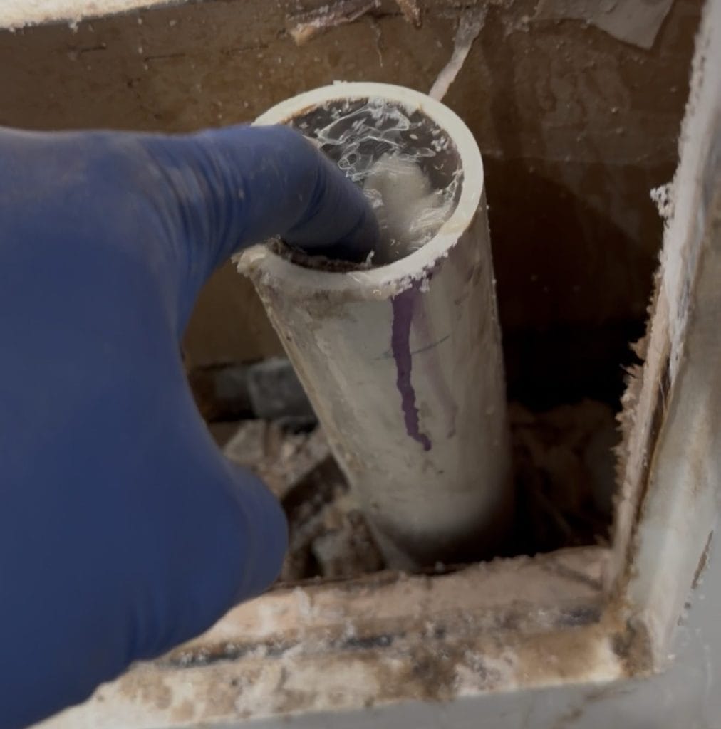 Clogged drain line filled with standing water during bathroom leak repair in Frisco TX